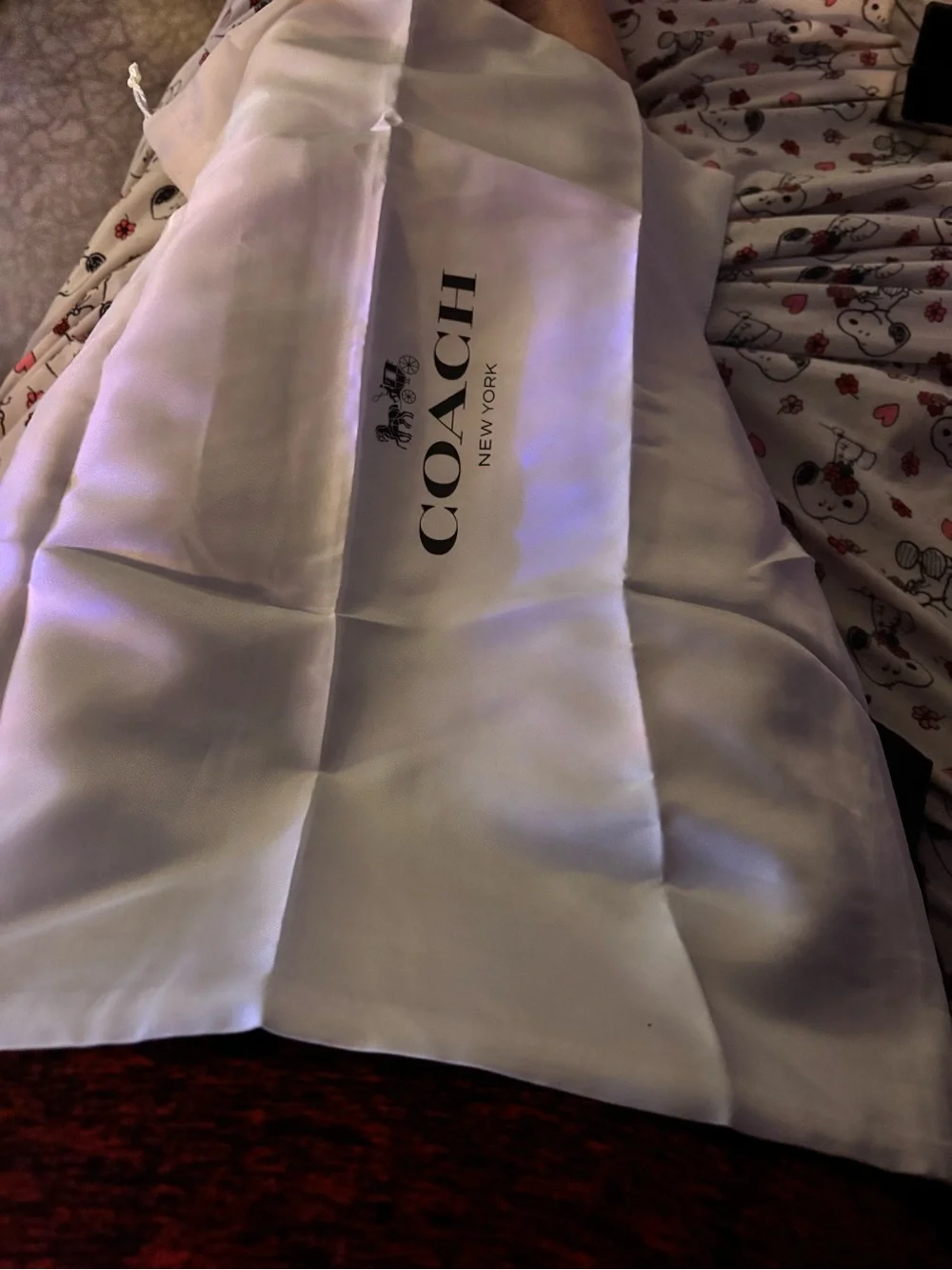Coach branded New York dust cover bag brand new